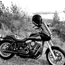 Load image into Gallery viewer, Hall of the Slain Vinyl pack